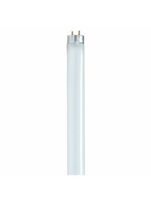 Product image for Satco S8408 25 Watt; T8; Fluorescent; 3500K Neutral White; 75 CRI; Medium Bi Pin base