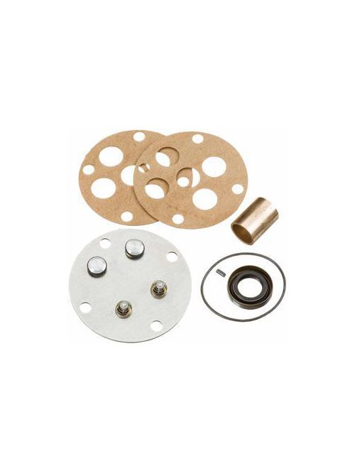 Product image for Ridgid Tool Company 61977 Threading Machine Pump Repair Kit