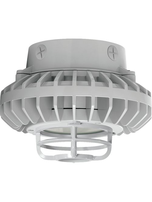 RAB HAZXLED42FF-DG HAZ 42W COOL CEI RAB HAZXLED42FF-DG HAZ 42W COOL CEI
