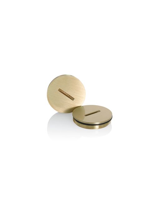 LEV 25249-CAP REPL CAP W/O RING LEV 25249-CAP REPL CAP W/O RING
