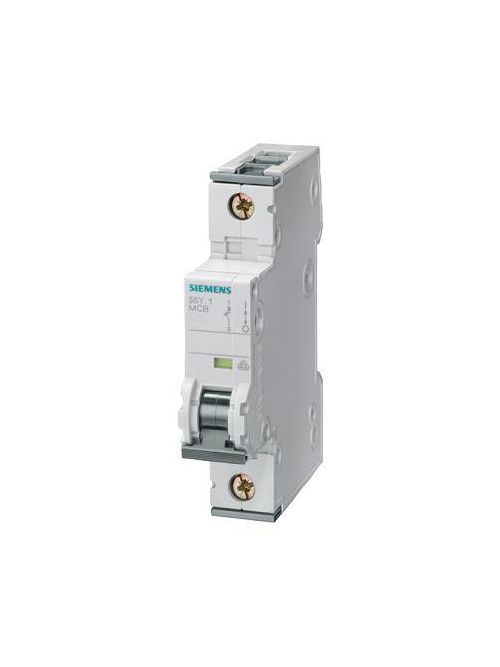 Siemens Industry 5SY6101-7 1-Pole 1 Amp 230/400 VAC 6 kA Curve C Supplementary Protector Siemens Industry 5SY6101-7 1-Pole 1 Amp 230/400 VAC 6 kA Curve C Supplementary Protector