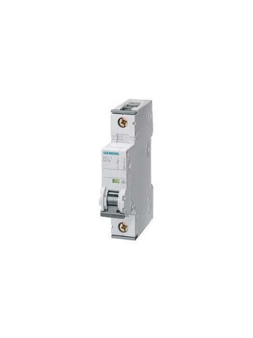 Product image for Siemens 5SY4108-5 SUP PTOR 5SY4 1P 240V
