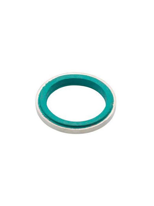 Bridgeport SR-300 3" Sealing Ring, Steel w/PVC Gasket Bridgeport SR-300 3" Sealing Ring, Steel w/PVC Gasket