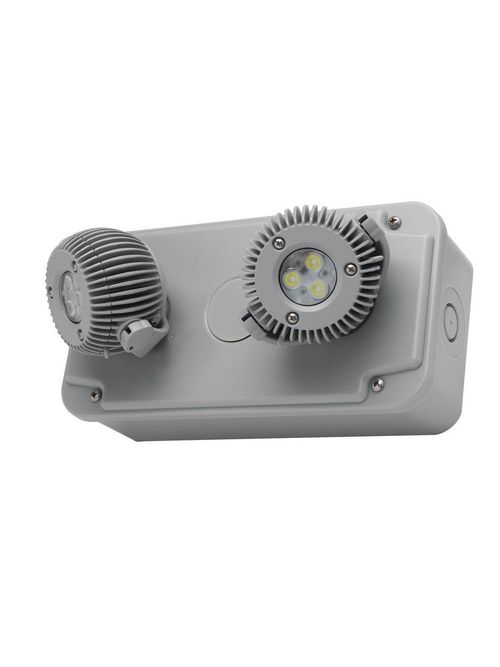 Product image for DUAL DYNRS-4X LTG REMOTE HEAD