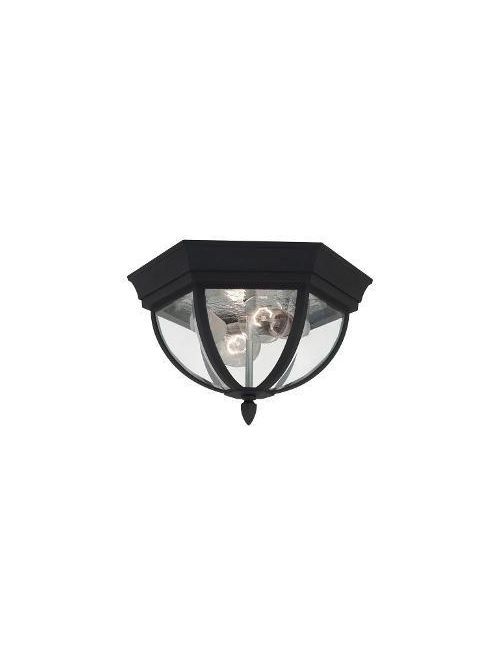 Product image for Wynfield 2 Light Outdoor Flush Mount - Black