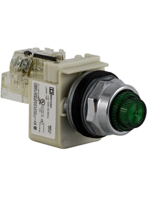 Product image for Square D 9001KT1G31 30 mm 120 VAC Green Lens Metal Bezel Push to Test Round Pilot Light