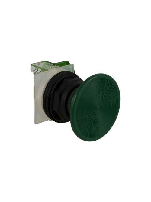 Product image for Square D 9001SKR25GH5 30 mm 600 VAC Momentary 1NO Green Lens Plastic Bezel Non-Illuminated Push Button