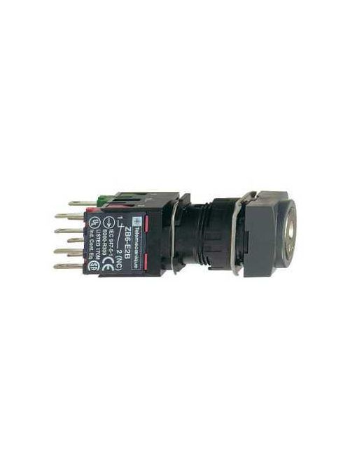 Product image for Square D XB6CGC5B 16 mm 1.5 Amp 240 VAC 1NO 1NC 2-Position Maintained Square Key Non-Illuminated Selector Switch