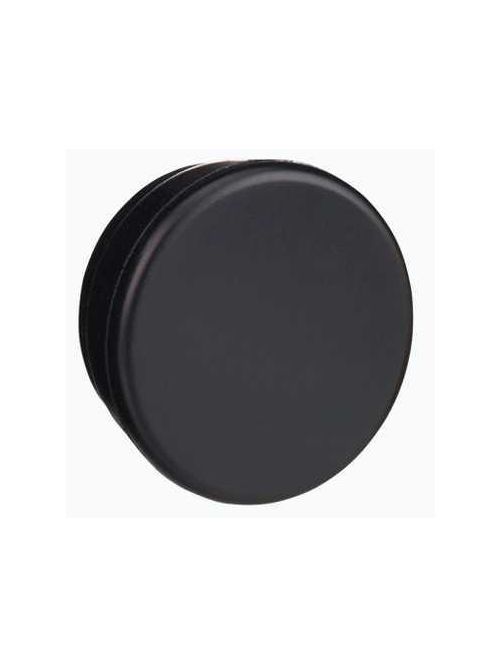 Product image for Square D ZB6Y005 16 mm Push Button Blanking Plug