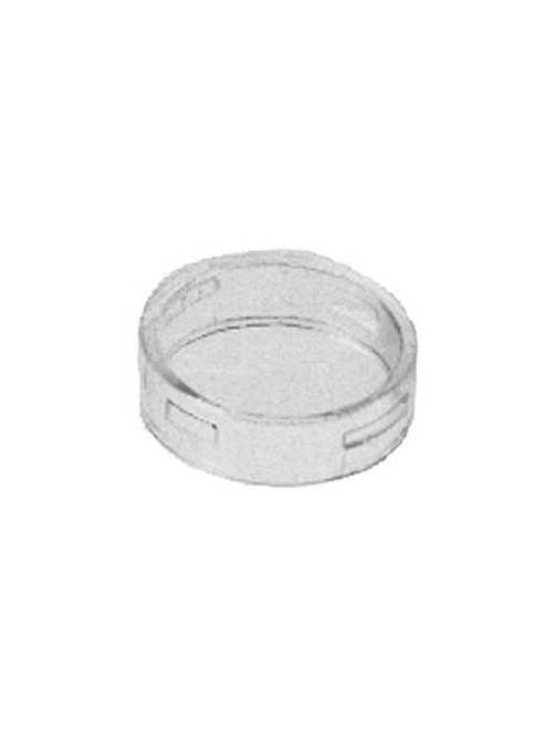 Product image for Square D ZBV017 22 mm Clear Pilot Light Lens Cap