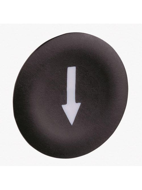Product image for Square D ZBA335 22 mm White/Black Round Flush Push Button Cap