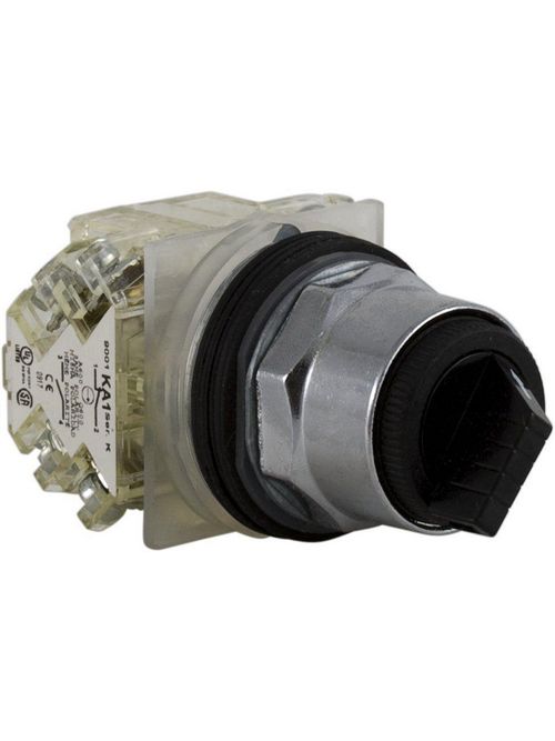 Product image for Square D 9001KS11BH2 30 mm 10 Amp 600 VAC/VDC 2NO 2NC 2-Position Round Knob Non-Illuminated Selector Switch