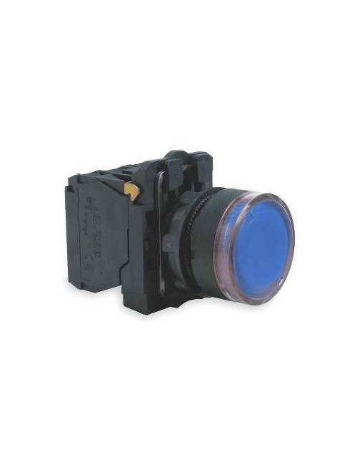 Product image for Square D XB5AW36B5 22 mm 24 VAC/VDC 18 mA 1NO 1NC Blue Round Momentary Flush Illuminated Push Button
