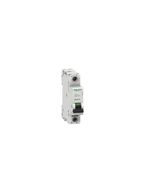 Product image for Square D MGN61505 1-Pole 5 Amp 250 Volt Thermal Magnetic Miniature Circuit Breaker
