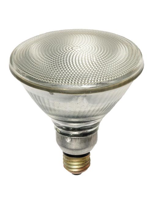 Product image for Shat-R-Shield 01593S 5.31 Inch 70 W 120 Volt 100 CRI 2925 K 1305 Lumen Medium Base PAR38 Silicone Coated Halogen Lamp