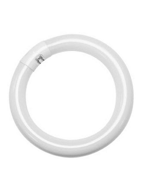 TCP 32022 22WATT 8IN CIRCLE LAMP2700K TCP 32022 22WATT 8IN CIRCLE LAMP2700K