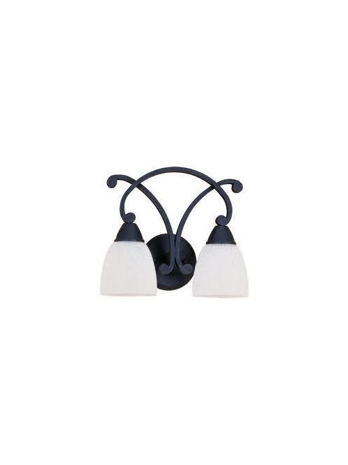 Product image for Sea Gull Lighting 4013-07 2-Lamp 100 W 120 Volt Weathered Iron Medium A19 Wall/Bath Mount Light Fixture