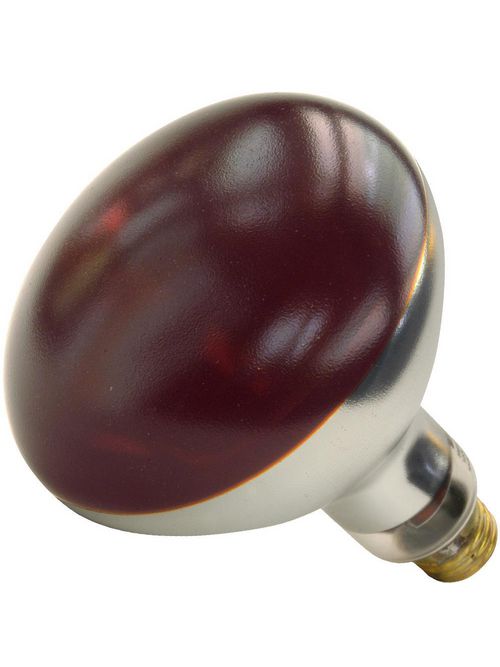 SHA 01698W 250R40/HT/RED (PK X 2) SHA 01698W 250R40/HT/RED (PK X 2)