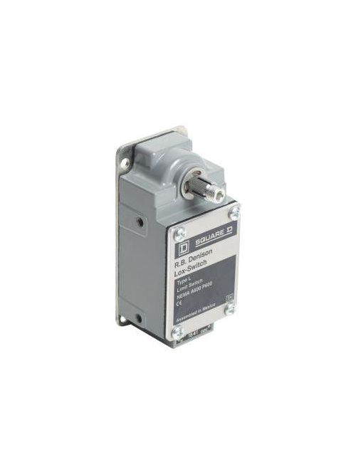Product image for TES L100WS2PF3 600 Volt 10 Amp 1NO 1NC Rotary Lever Severe/Extra Heavy Duty Limit Mill Switch