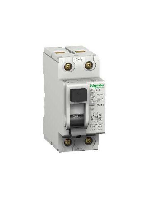 Product image for Square D 60954 2-Pole 40 Amp 300 mA AC SIE 120/240 Volt Ground Fault Protector