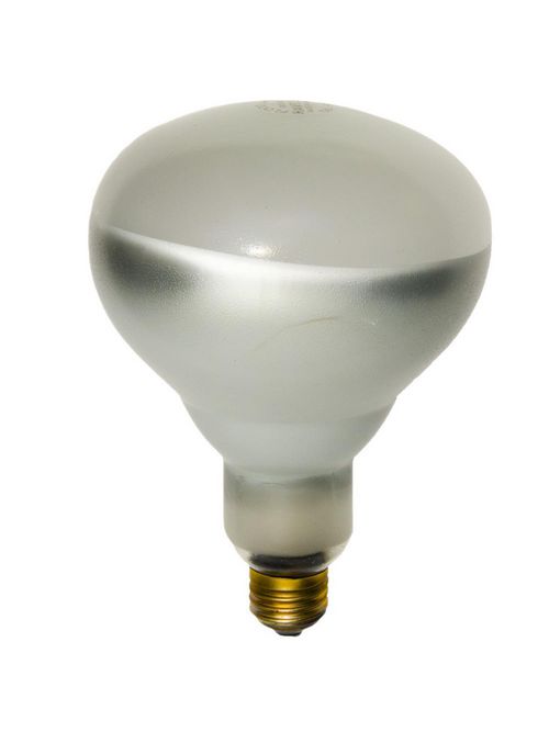 Product image for SHA 01731 250BR40/1 120V (PK X 2)