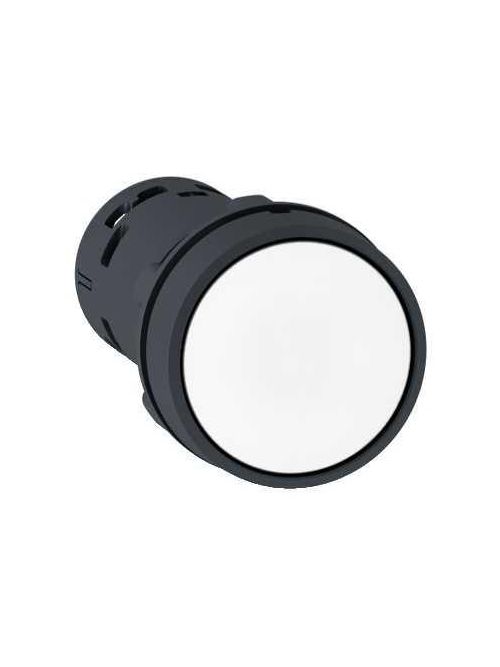 Product image for Square D XB7NA11 22 mm 600 VAC 1.2 Amp 1NO White Round Spring Return Flush Push Button