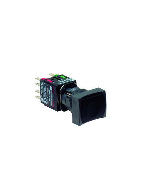 Product image for Square D XB6DA25B 16 mm 240 VAC 1.5 Amp 1NO 1NC Black Rectangular Flush/Spring Return Non-Illuminated Push Button