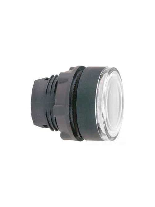 Product image for Square D ZB5AW37 22 mm Clear Flush Momentary Illuminated Push Button Operator