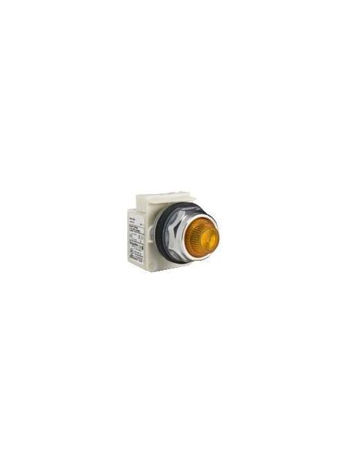 Product image for Square D 9001KP38L31 30 mm 120 VAC/VDC Blue Lens Metal Bezel Standard Round Pilot Light