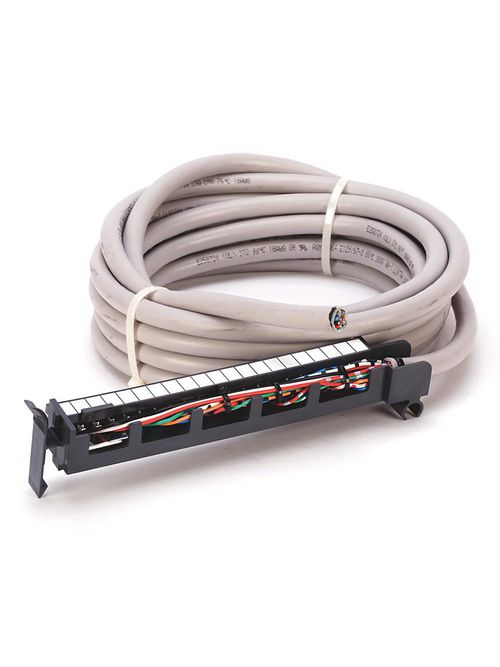 Product image for A-B 1492-CABLE050W Digital Cable Co