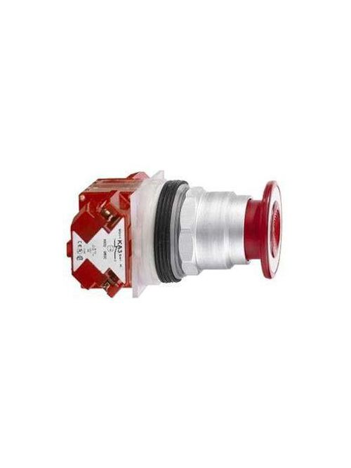 Product image for Square D 9001KR4R05H33 30 mm 10 Amp 600 VAC Push Button