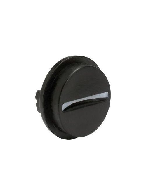 Product image for Square D 9001L16 NEMA 4/4X/13 Blue Coin Operated 30 mm Selector Switch Knob