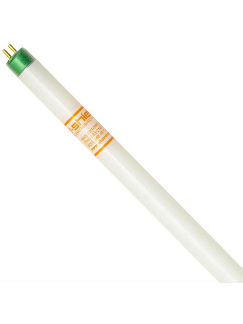 Product image for SHA 82561 F54T5 841/HO/XEW/ALTO 44W