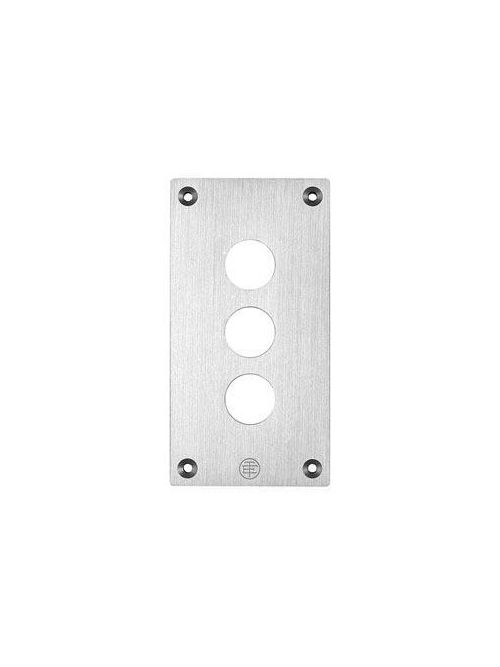 Product image for Square D XAPE303 2.83 x 5.43 Inch NEMA 4/13 3-Hole Anodized Aluminum Push Button Drilled Flush Plate