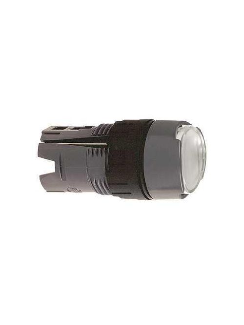 Product image for Square D ZB6AW1 16 mm White Round Flush Spring Return Illuminated Push Button Head