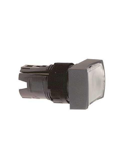 Product image for Square D ZB6DF1 16 mm White Rectangular Flush Illuminated Push Button Operator