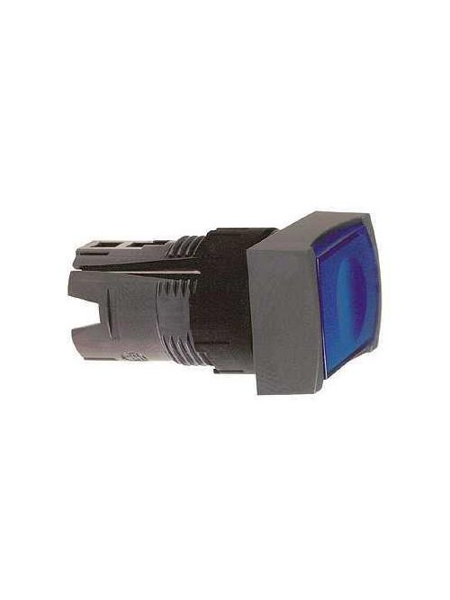 Product image for Square D ZB6DW6 16 mm Blue Rectangular Flush Illuminated Push Button Operator