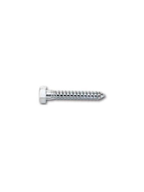 Product image for DeWalt / Powers 807024 5/16 x 5" Stainless Lag Bolt