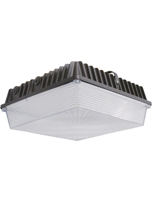 Product image for EIKO SCSS-3C-50K-U DISC - SURFACE C