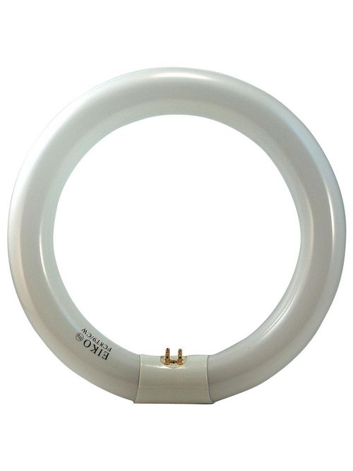 Product image for EIKO FC12T9/D 32W DAY LIGHT CIRCLI