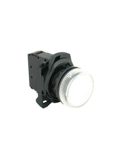 Product image for Allen Bradley 800FM-P6MN5B Pilot Light 22mm 800F