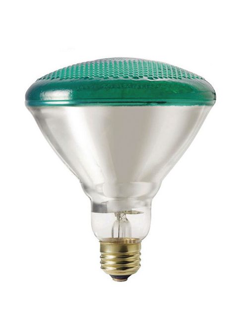 Product image for SHA 01673 100PAR/BR38/GREEN (PK X 6