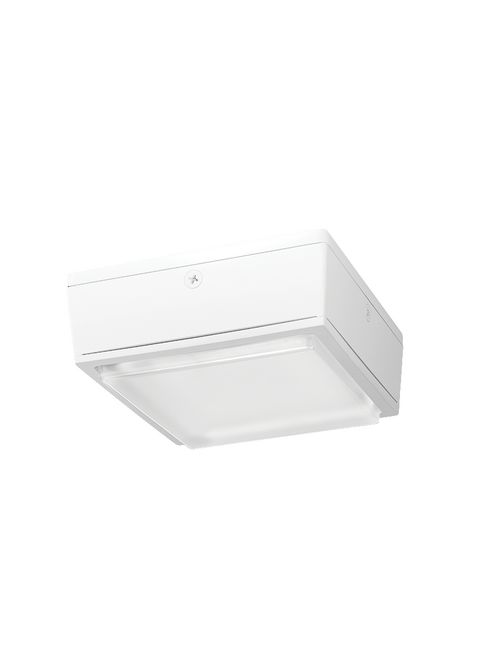 Product image for RAB VANLED40NW/D10 VNDLPROOF CANOPY