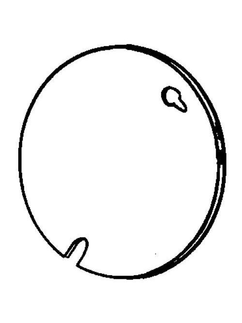 Product image for Appleton 8301A 3-1/4" RND CVR