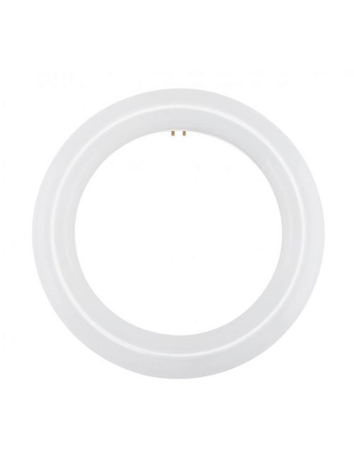 SATCO S16500 FC8T9/LED/CIR/830/BP SATCO S16500 FC8T9/LED/CIR/830/BP