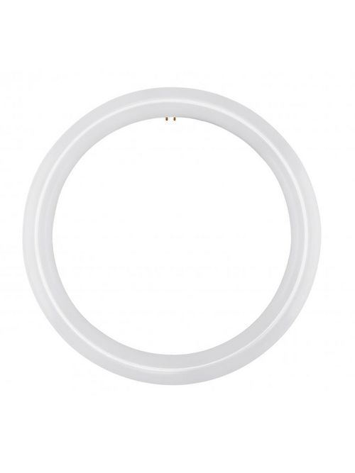 SATCO S16504 FC12T9/LED/CIR/840/BP SATCO S16504 FC12T9/LED/CIR/840/BP